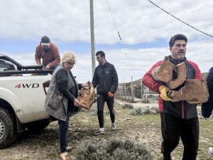 Presencia territorial del Ministerio de Desarrollo Social en zona norte