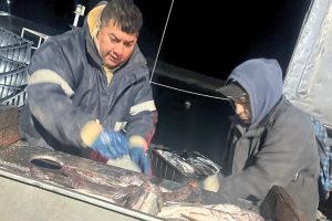 El Gobierno Provincial reactivó la balanza de Caleta Paula