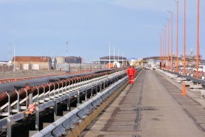 Leguizamón: “Hay muchas compañías que se están interesando por el carbón de Santa Cruz”