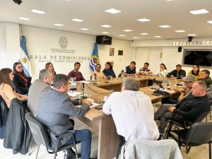 El Gobierno expuso en Diputados alcances del acuerdo con YPF y licitación de las áreas