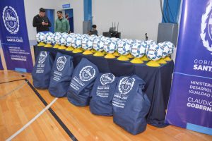 Vidal entregó aportes económicos y canchas de césped sintético a instituciones deportivas de Santa Cruz