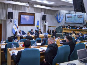 El Poder Legislativo declaró de Interés Provincial al Programa Radial Creando Lazos para Todos de Puerto Deseado