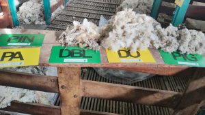 El Consejo Agrario Provincial y Prolana Santa Cruz llevaron adelante una nueva capacitación en Gobernador Gregores