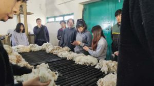 El Consejo Agrario Provincial y Prolana Santa Cruz llevaron adelante una nueva capacitación en Gobernador Gregores