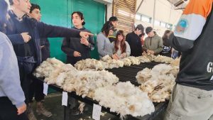 El Consejo Agrario Provincial y Prolana Santa Cruz llevaron adelante una nueva capacitación en Gobernador Gregores