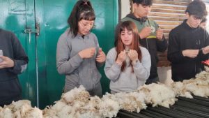 El Consejo Agrario Provincial y Prolana Santa Cruz llevaron adelante una nueva capacitación en Gobernador Gregores