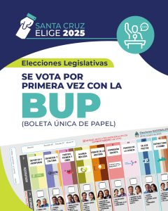 #SantaCruzElige2025 ¿Qué elegimos los santacruceños en las elecciones legislativas de octubre?