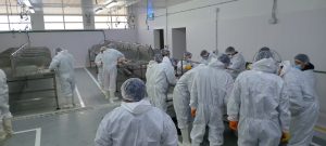 Avanza el curso de filetero con perspectiva social en San Julián