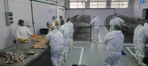 Avanza el curso de filetero con perspectiva social en San Julián