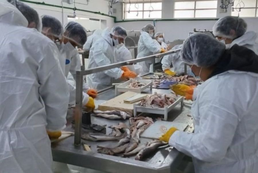 Avanza el curso de filetero con perspectiva social en San Julián