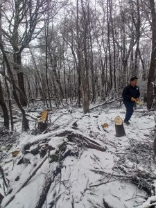 El Consejo Agrario intervino en Río Turbio para frenar extracción ilegal de madera en la Reserva Mazaruca