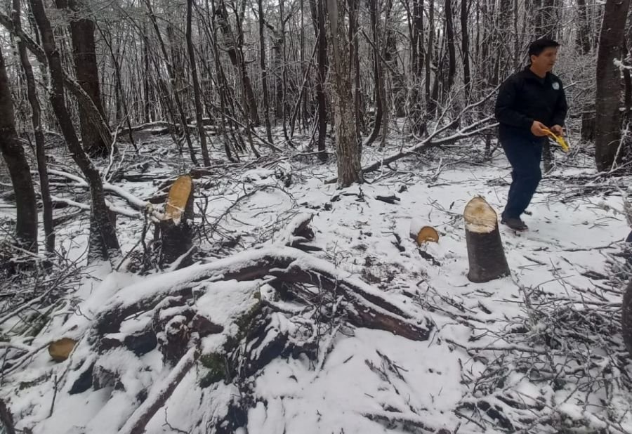 El Consejo Agrario intervino en Río Turbio para frenar extracción ilegal de madera en la Reserva Mazaruca