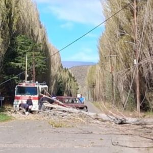 Se trabajó de forma coordinada con respuesta inmediata ante el alerta naranja en zona norte