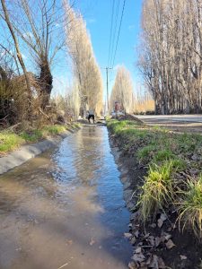 Comunicado para productores agropecuarios de Gobernador Gregores