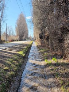 Comunicado para productores agropecuarios de Gobernador Gregores