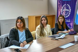 Jornada de trabajo sobre protocolos de actuación en seguridad para la protección de niñas, niños y adolescentes