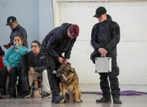 Pucheta: “Estos espacios permiten que los jóvenes elijan con libertad y conocimiento su futuro”