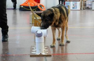 Pucheta: “Estos espacios permiten que los jóvenes elijan con libertad y conocimiento su futuro”