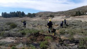 YPF inició tareas de remediación tras el incidente ambiental en Cañadón Seco