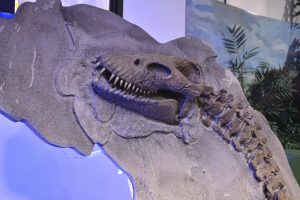 #SomosElEstado: Patrimonio Cultural es un tesoro de identidad y tradición ancestral