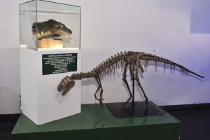 #SomosElEstado: Patrimonio Cultural es un tesoro de identidad y tradición ancestral