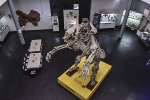 #SomosElEstado: Patrimonio Cultural es un tesoro de identidad y tradición ancestral