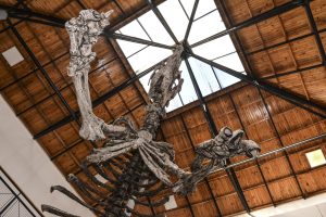 #SomosElEstado: Patrimonio Cultural es un tesoro de identidad y tradición ancestral