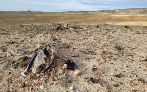 En noviembre comienzan las tareas de perforación en el proyecto minero El Águila