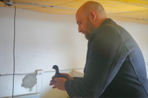 Santa Cruz Puede S.A.U. puso en marcha el proyecto avícola en Puerto Santa Cruz