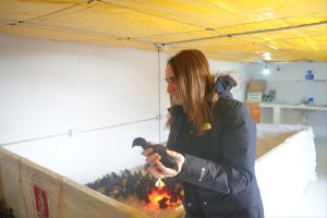 Santa Cruz Puede S.A.U. puso en marcha el proyecto avícola en Puerto Santa Cruz