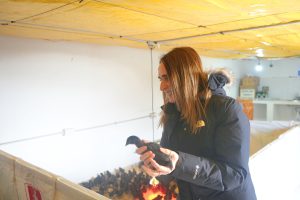 Ricci: “El proyecto avícola es un ejemplo de la nueva etapa productiva que vive Santa Cruz"