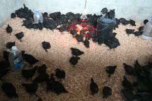 Suárez: “Estamos convencidos de que el cambio en Santa Cruz pasa por la producción y el trabajo”