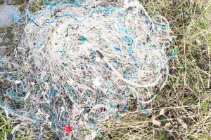 Los Antiguos: Pesca Continental decomisó 60 truchas tras intensos controles