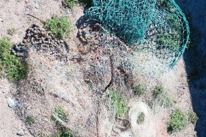 Los Antiguos: Pesca Continental decomisó 60 truchas tras intensos controles