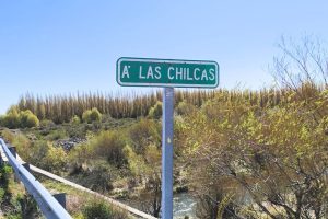 Los Antiguos: Pesca Continental decomisó 60 truchas tras intensos controles