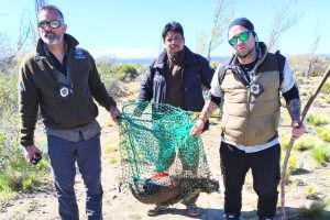 Los Antiguos: Pesca Continental decomisó 60 truchas tras intensos controles