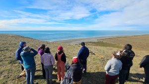 Cabo Vírgenes: campaña de monitoreo de pingüinos de Magallanes