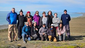 Cabo Vírgenes: campaña de monitoreo de pingüinos de Magallanes