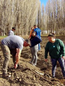 Próximos egresados de la Escuela Agropecuaria Provincial N°1 plantaron un monte frutal como legado educativo