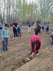 Próximos egresados de la Escuela Agropecuaria Provincial N°1 plantaron un monte frutal como legado educativo