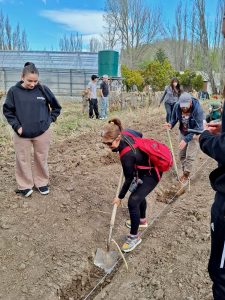 Próximos egresados de la Escuela Agropecuaria Provincial N°1 plantaron un monte frutal como legado educativo