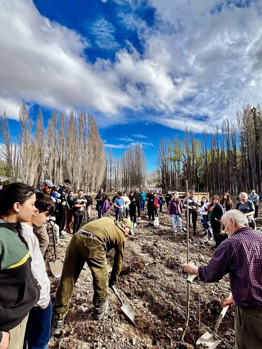 Próximos egresados de la Escuela Agropecuaria Provincial N°1 plantaron un monte frutal como legado educativo