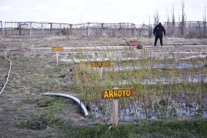 #SomosElEstado: En el Vivero Cecilio Freile se cultivan especies nativas y se fortalece nuestro espíritu