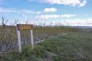 #SomosElEstado: En el Vivero Cecilio Freile se cultivan especies nativas y se fortalece nuestro espíritu