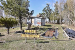 #SomosElEstado: En el Vivero Cecilio Freile se cultivan especies nativas y se fortalece nuestro espíritu