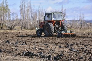 #SomosElEstado: En el Vivero Cecilio Freile se cultivan especies nativas y se fortalece nuestro espíritu