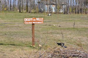 #SomosElEstado: En el Vivero Cecilio Freile se cultivan especies nativas y se fortalece nuestro espíritu