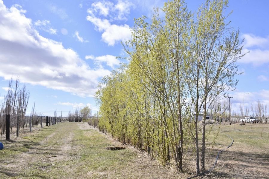 #SomosElEstado: En el Vivero Cecilio Freile se cultivan especies nativas y se fortalece nuestro espíritu