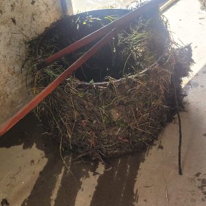 Comunicado importante de Servicios Públicos