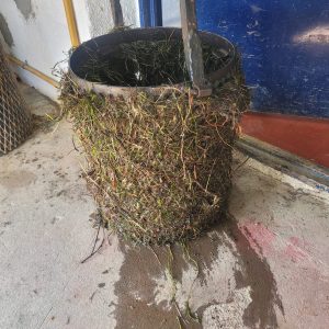 Comunicado importante de Servicios Públicos